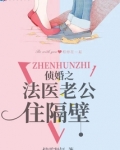侦婚之法医老公住隔壁免费阅读