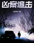 凶案追击 小说