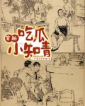 吃瓜小知青的幸福生活