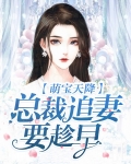 坑爹萌宝总裁追妻忙