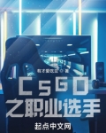 csgo之职业选手全文阅读