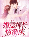 婚意绵绵免费下载