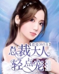 总裁大人,惹不起免费阅读