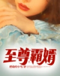 至尊霸婿