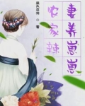 农家辣妻养崽崽免费阅读小说