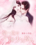 豪门危情路少的神秘小甜妻