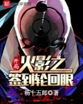 木叶之开局签到轮回眼正版阅读