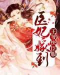 医妃嫁到王爷束手就擒