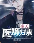 凌天医婿归来