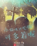 小猫咪坏心眼可多着呢小说怎么不更新了