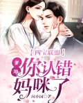 四宝联盟：爹地，你认错妈咪了