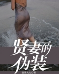 贤妻的伪装叶璐