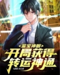 鉴宝神眼:开局获得转运神通(飞鸽传书)
