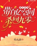 重生年代：带百亿空间杀回九零