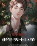 重生:天王巨星小说