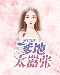 萌宝驾到：爹地太嚣张