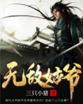 无敌姑爷