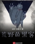荒野的黑客在线阅读