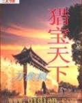 猎宝天下