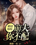婚情绵绵：前夫你不配