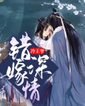 错嫁深情冷王爷
