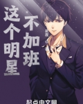 这个明星不加班小说