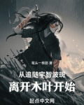 从宇智波开始的木叶收尸人 小说