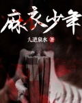 麻衣少年电子书下载