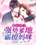 双宝助攻,腹黑爹地霸妈咪
