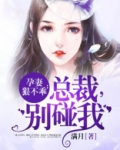 孕妻狠不乖:总裁,别碰我小说