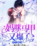 《重生霸宠:妈咪马甲又爆了》