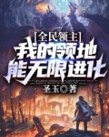 全民领主：我的领地能无限进化