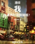 港综我交通执行及管制组笔趣阁