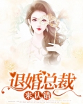 退婚总裁来认错全文免费阅读