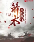 从箭在弦上开始小说