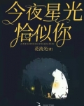 《今夜星光似往年》