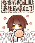 炮灰男配退圈养生后爆红了小说