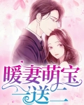 暖婚之一胎两宝免费阅读