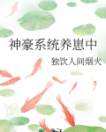 神豪系统小说