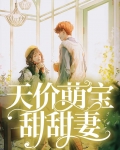 天价萌宝甜甜妻免费阅读