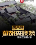 四合院截胡娄晓娥人生躺平了小说