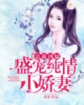 总裁盛宠小甜妻全文阅读