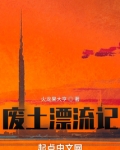 废土漂流记无防盗