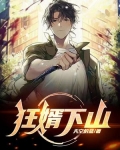 狂婿下山TXT下载