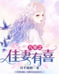八零之佳妻有喜