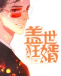盖世狂婿秦江
