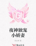 夜神独宠小娇妻