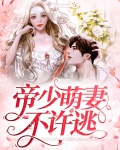 帝少萌妻宠入怀免费白