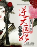 冷王的医妃倾城