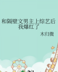 和隔壁文男主上综艺后我爆红了木归微下载